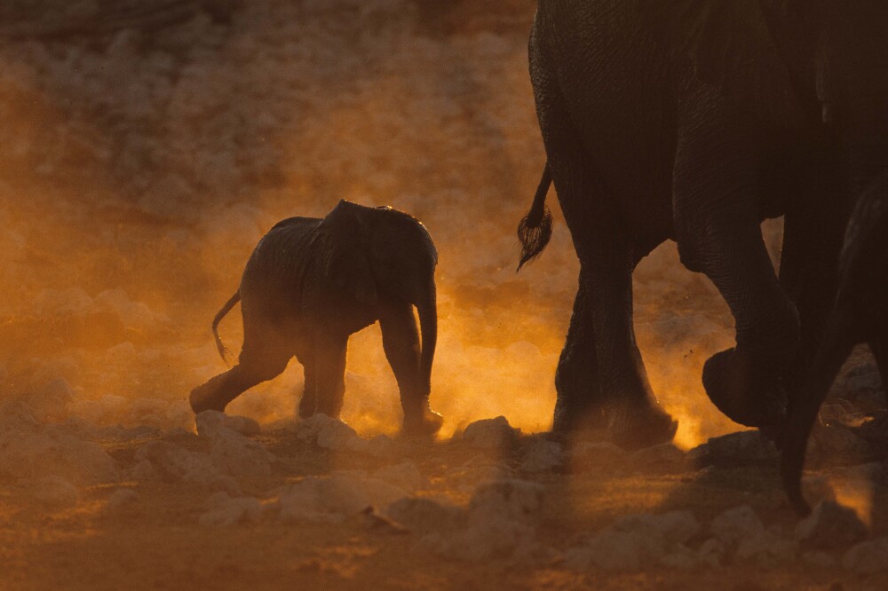 NAMIBIA