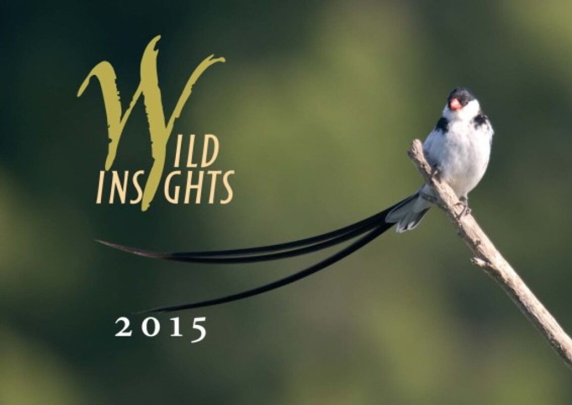 New 2015 Wild Insights calendar