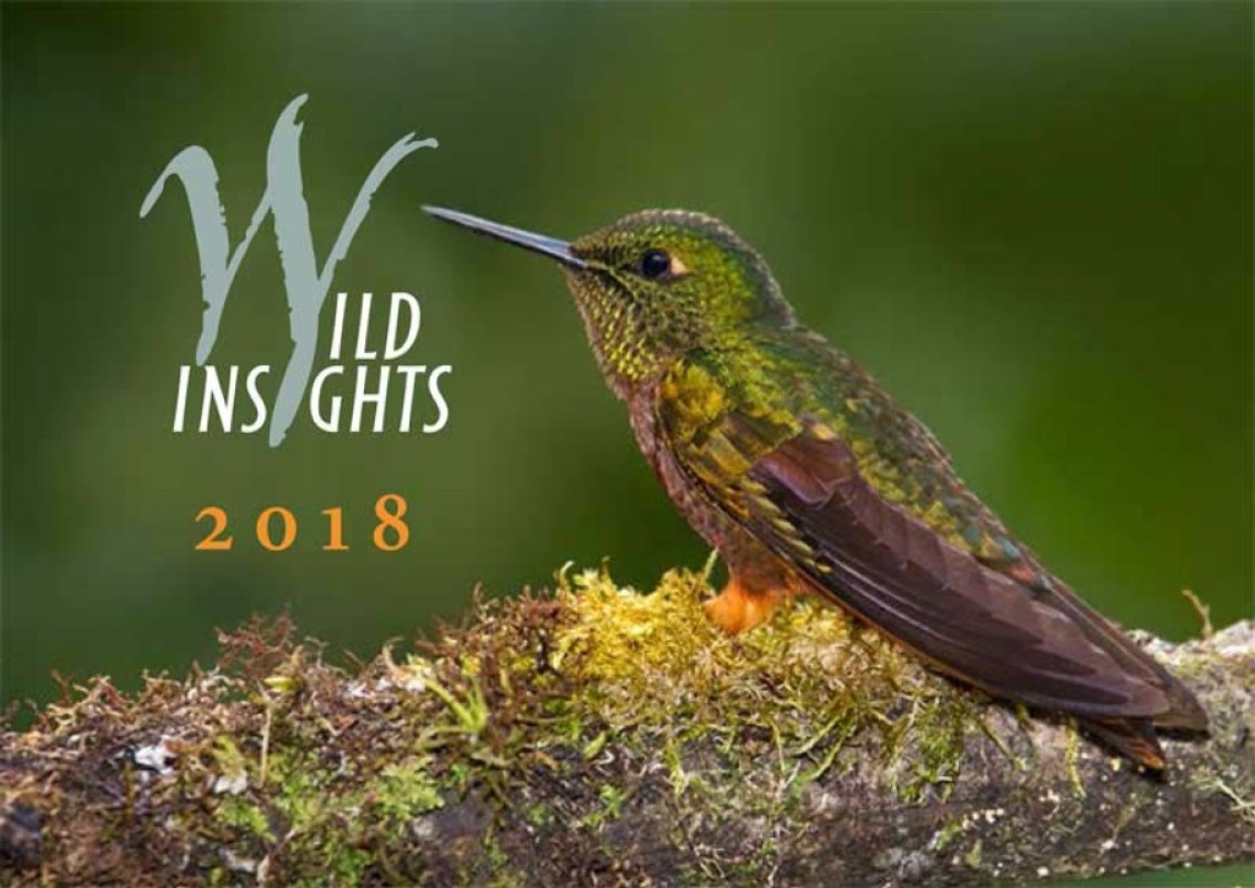 New Wild Insights Calendar - 2018