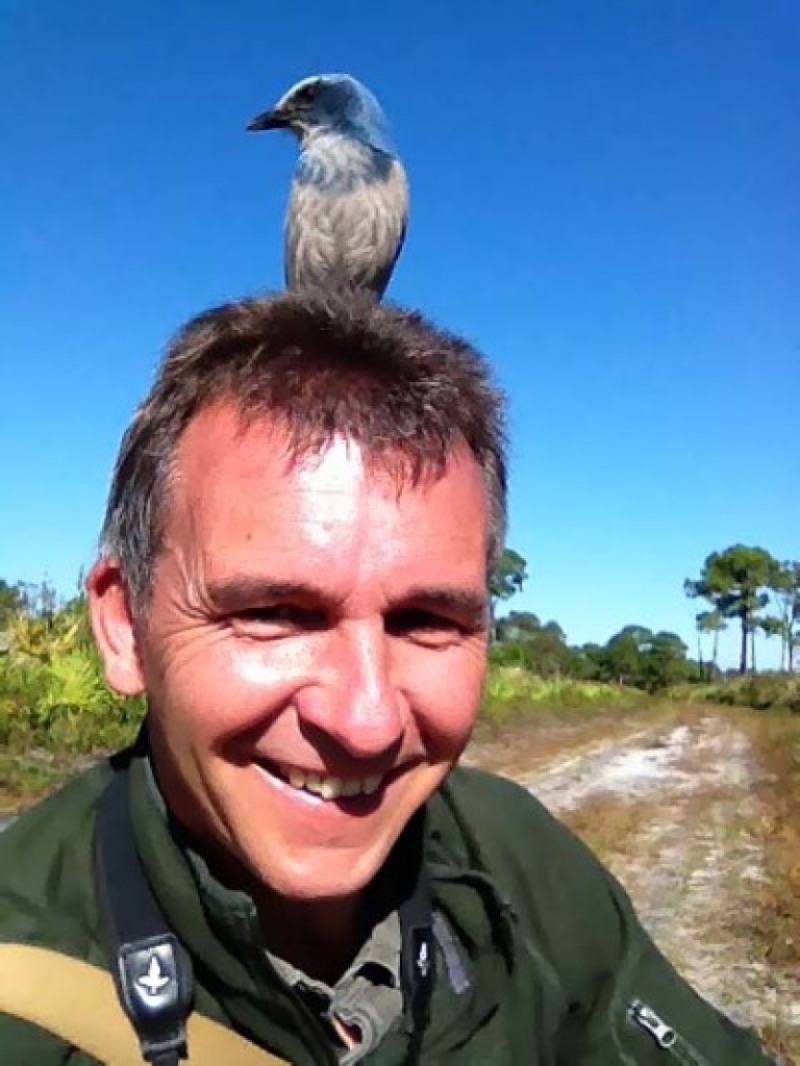 The extraordinary Florida Scrub-jay!